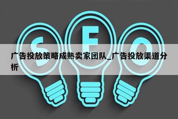 广告投放策略成熟卖家团队_广告投放渠道分析