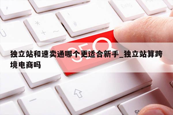 独立站和速卖通哪个更适合新手_独立站算跨境电商吗
