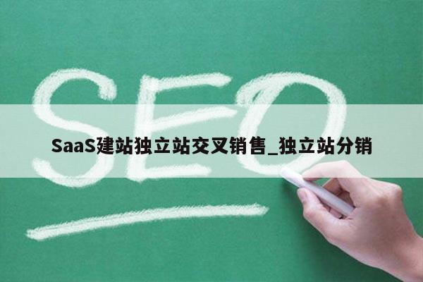 SaaS建站独立站交叉销售_独立站分销