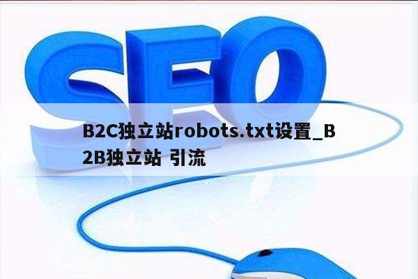 B2C独立站robots.txt设置_B2B独立站 引流