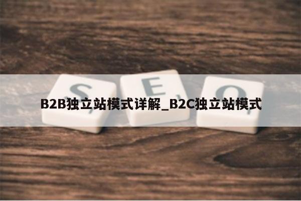 B2B独立站模式详解_B2C独立站模式