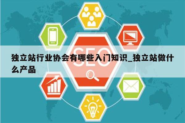独立站行业协会有哪些入门知识_独立站做什么产品