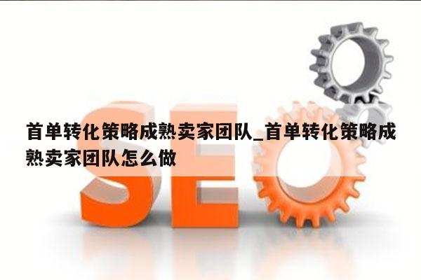 首单转化策略成熟卖家团队_首单转化策略成熟卖家团队怎么做