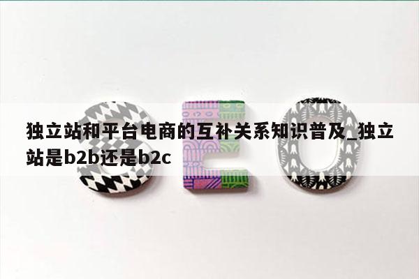 独立站和平台电商的互补关系知识普及_独立站是b2b还是b2c
