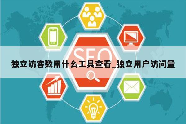 独立访客数用什么工具查看_独立用户访问量