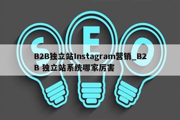 B2B独立站Instagram营销_B2B 独立站系统哪家厉害