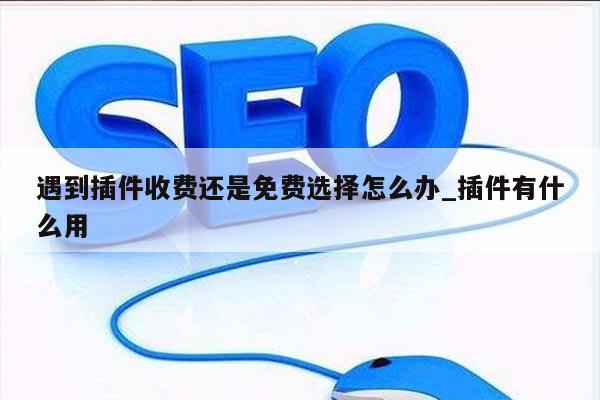 遇到插件收费还是免费选择怎么办_插件有什么用