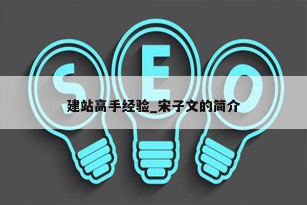 建站高手经验_宋子文的简介