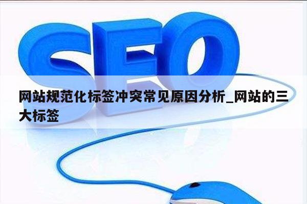 网站规范化标签冲突常见原因分析_网站的三大标签