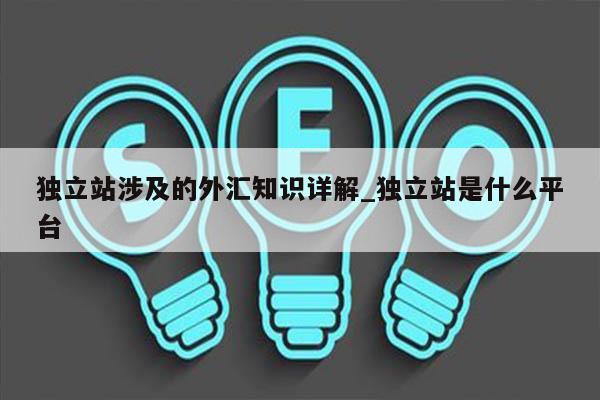 独立站涉及的外汇知识详解_独立站是什么平台