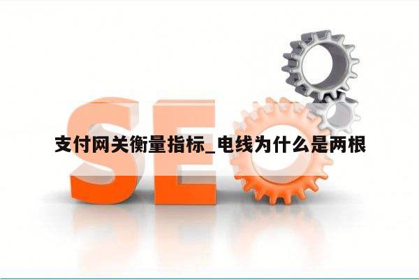 支付网关衡量指标_电线为什么是两根