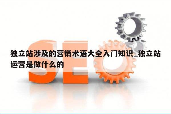 独立站涉及的营销术语大全入门知识_独立站运营是做什么的