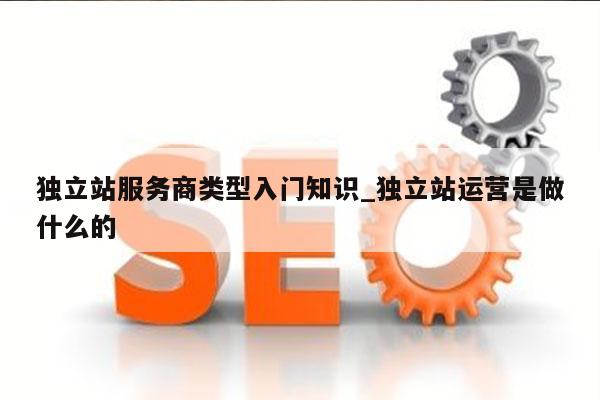 独立站服务商类型入门知识_独立站运营是做什么的