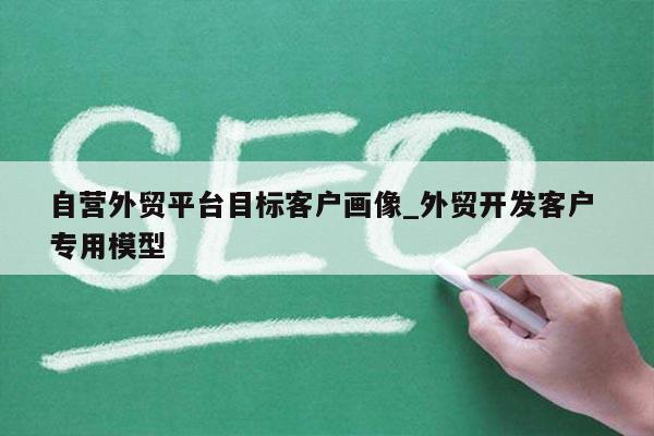 自营外贸平台目标客户画像_外贸开发客户 专用模型