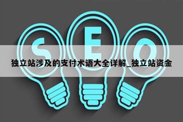 独立站涉及的支付术语大全详解_独立站资金