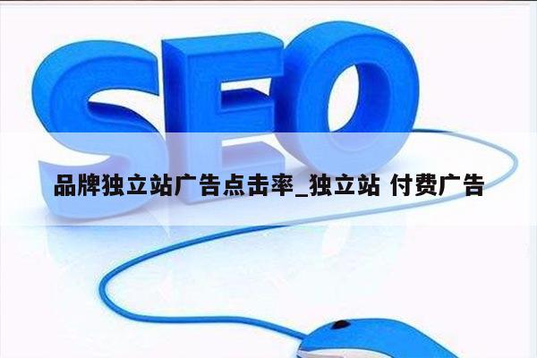品牌独立站广告点击率_独立站 付费广告