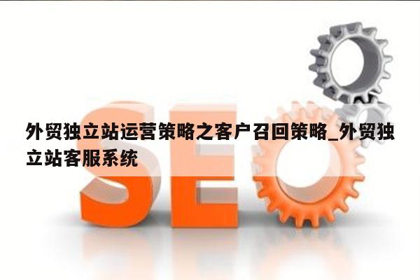 外贸独立站运营策略之客户召回策略_外贸独立站客服系统