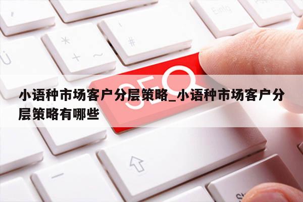 小语种市场客户分层策略_小语种市场客户分层策略有哪些