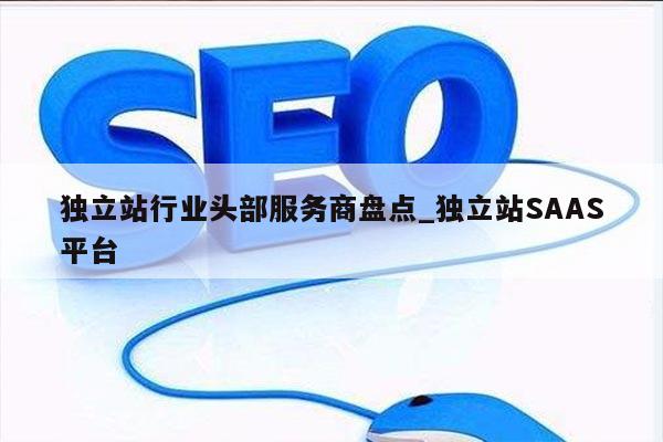 独立站行业头部服务商盘点_独立站SAAS平台