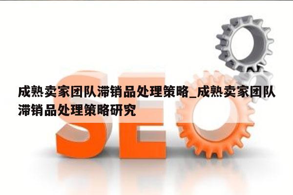成熟卖家团队滞销品处理策略_成熟卖家团队滞销品处理策略研究