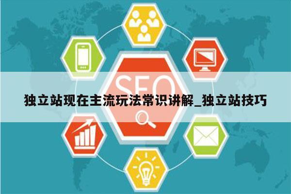 独立站现在主流玩法常识讲解_独立站技巧