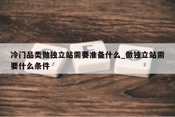 冷门品类做独立站需要准备什么_做独立站需要什么条件