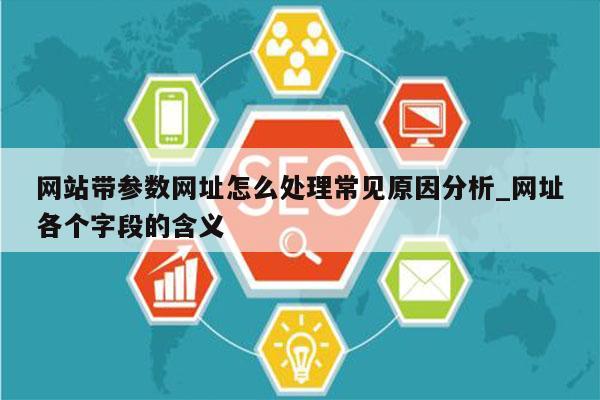 网站带参数网址怎么处理常见原因分析_网址各个字段的含义