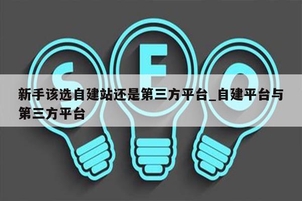 新手该选自建站还是第三方平台_自建平台与第三方平台