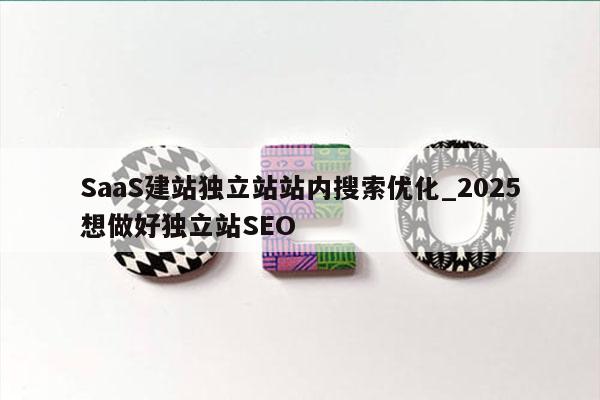 SaaS建站独立站站内搜索优化_2025想做好独立站SEO