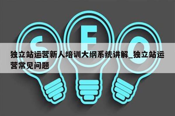 独立站运营新人培训大纲系统讲解_独立站运营常见问题