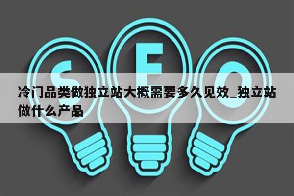 冷门品类做独立站大概需要多久见效_独立站做什么产品