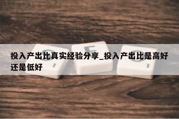 投入产出比真实经验分享_投入产出比是高好还是低好