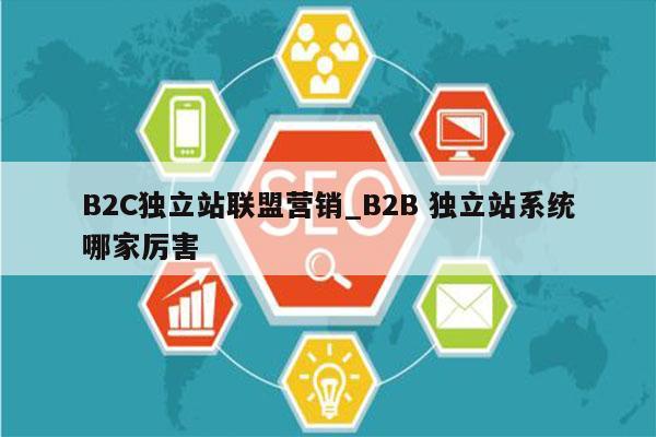 B2C独立站联盟营销_B2B 独立站系统哪家厉害