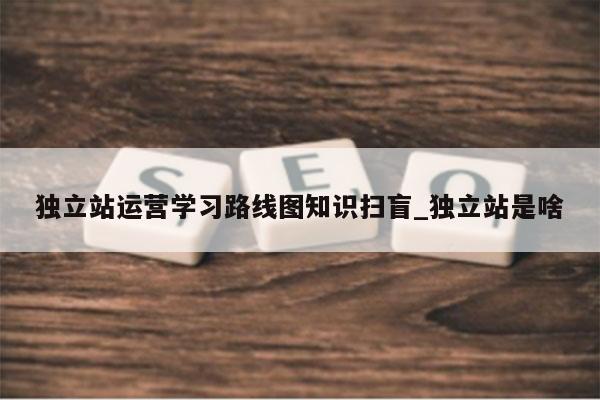 独立站运营学习路线图知识扫盲_独立站是啥