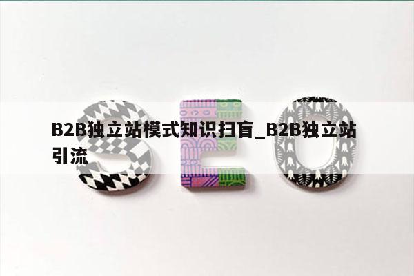 B2B独立站模式知识扫盲_B2B独立站 引流