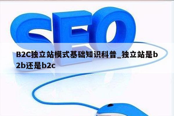 B2C独立站模式基础知识科普_独立站是b2b还是b2c
