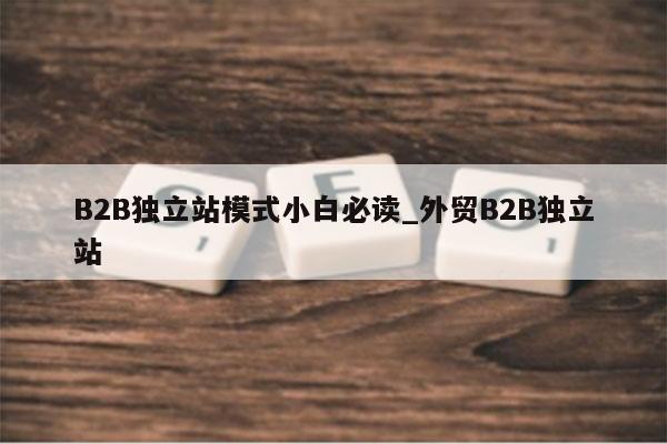 B2B独立站模式小白必读_外贸B2B独立站