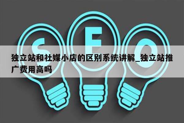 独立站和社媒小店的区别系统讲解_独立站推广费用高吗