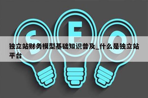 独立站财务模型基础知识普及_什么是独立站平台