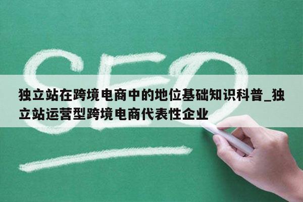 独立站在跨境电商中的地位基础知识科普_独立站运营型跨境电商代表性企业