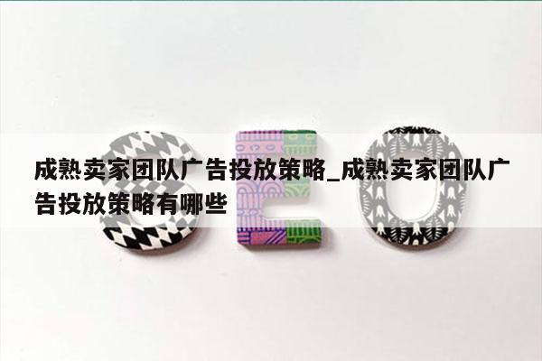 成熟卖家团队广告投放策略_成熟卖家团队广告投放策略有哪些