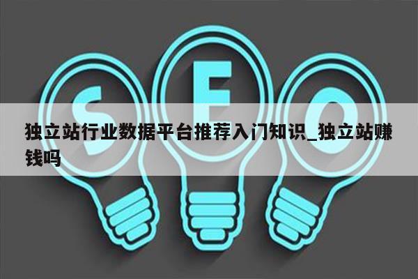 独立站行业数据平台推荐入门知识_独立站赚钱吗