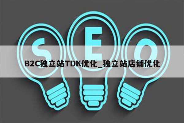 B2C独立站TDK优化_独立站店铺优化
