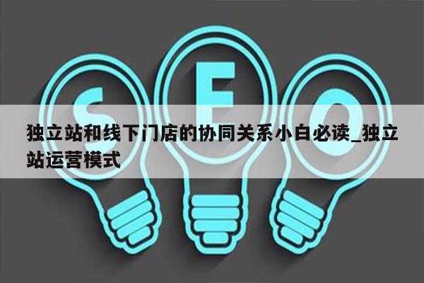 独立站和线下门店的协同关系小白必读_独立站运营模式