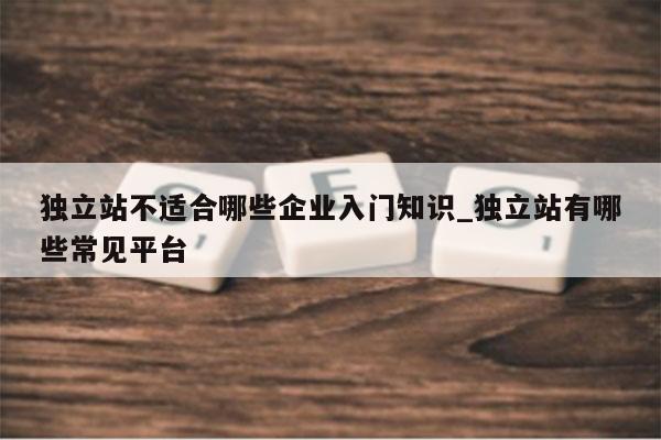 独立站不适合哪些企业入门知识_独立站有哪些常见平台