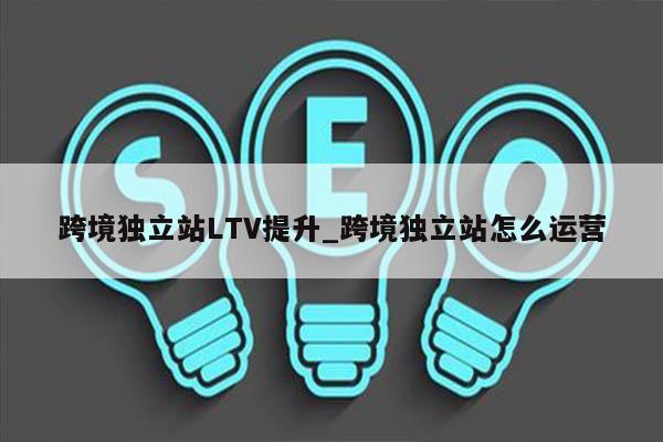 跨境独立站LTV提升_跨境独立站怎么运营
