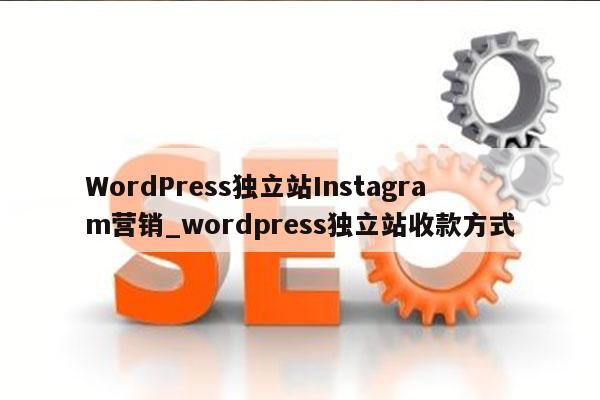 WordPress独立站Instagram营销_wordpress独立站收款方式