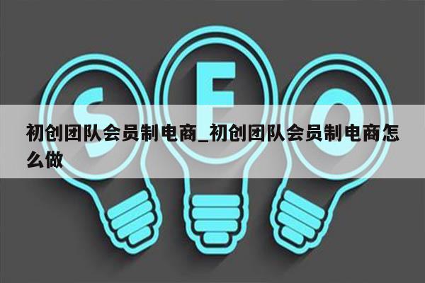 初创团队会员制电商_初创团队会员制电商怎么做