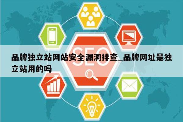 品牌独立站网站安全漏洞排查_品牌网址是独立站用的吗