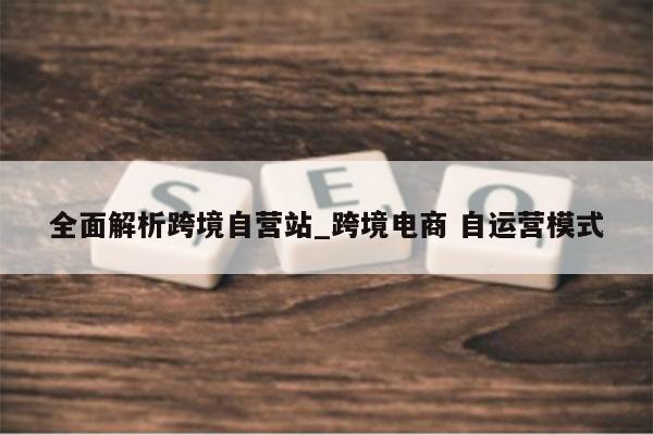 全面解析跨境自营站_跨境电商 自运营模式